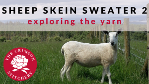 A sheep in a field in Scotland, part of the knitting design process